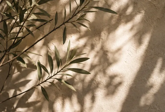 Sunlit foliage casting soft shadows on a warm plaster wall